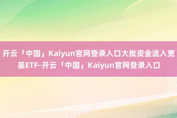 开云「中国」Kaiyun官网登录入口大批资金流入宽基ETF-开云「中国」Kaiyun官网登录入口